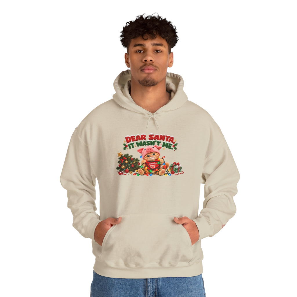 Dear Santa, It Wasn't Me! – Porky Unisex Christmas Hoodie