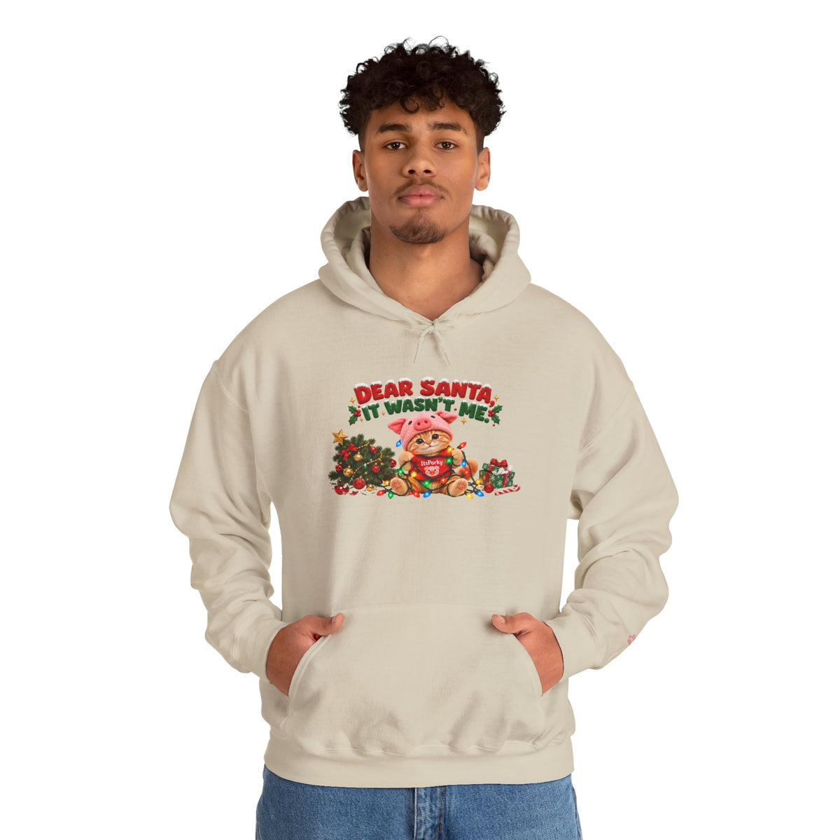 Dear Santa, It Wasn't Me! – Porky Unisex Christmas Hoodie