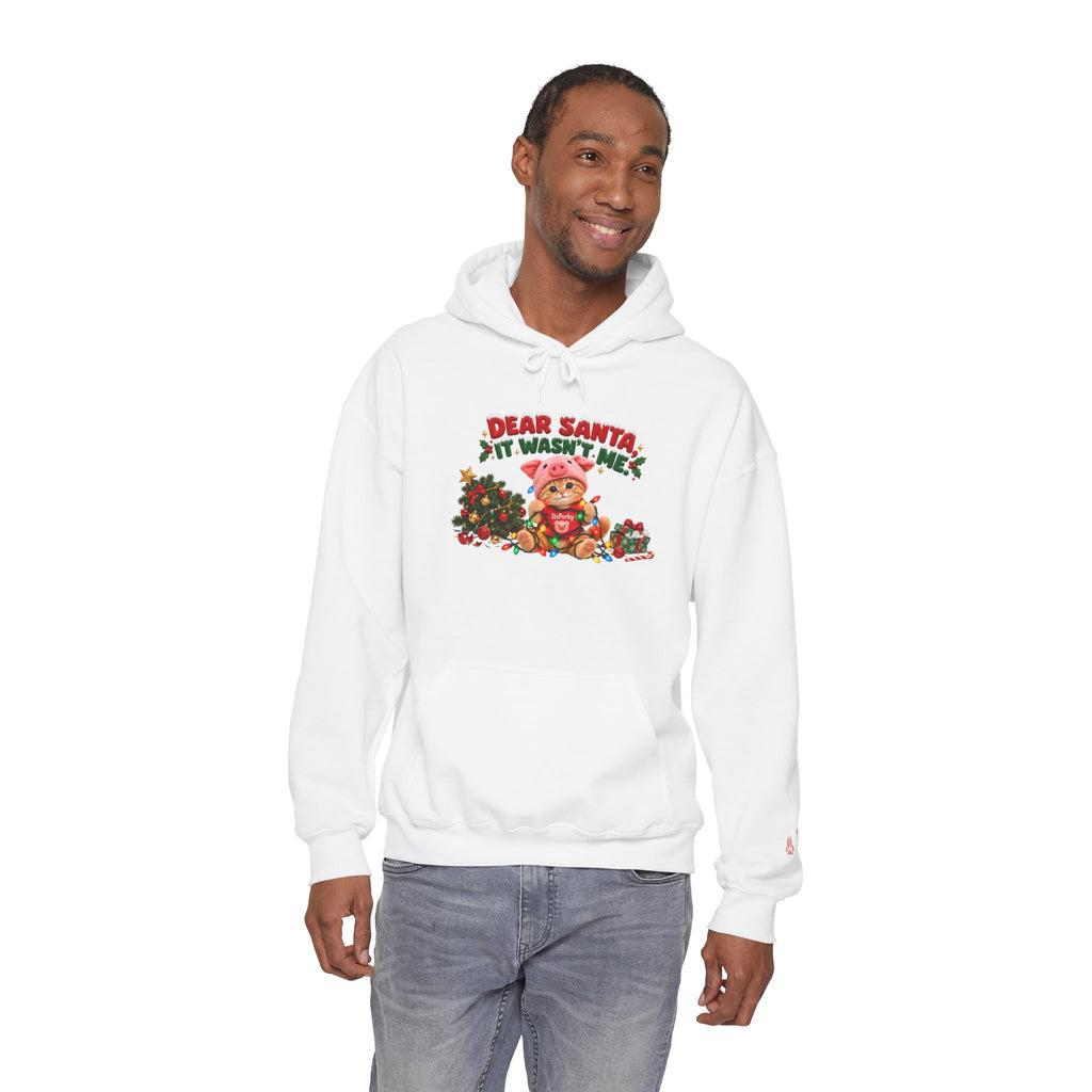 Dear Santa, It Wasn't Me! – Porky Unisex Christmas Hoodie