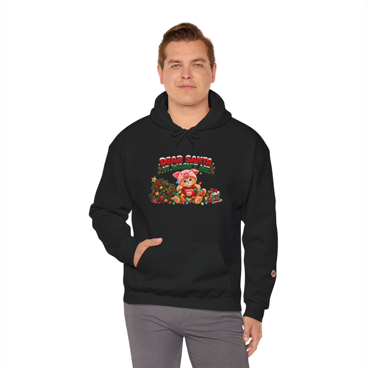 Dear Santa, It Wasn't Me! – Porky Unisex Christmas Hoodie
