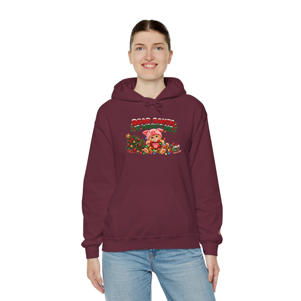 Dear Santa, It Wasn't Me! – Porky Unisex Christmas Hoodie