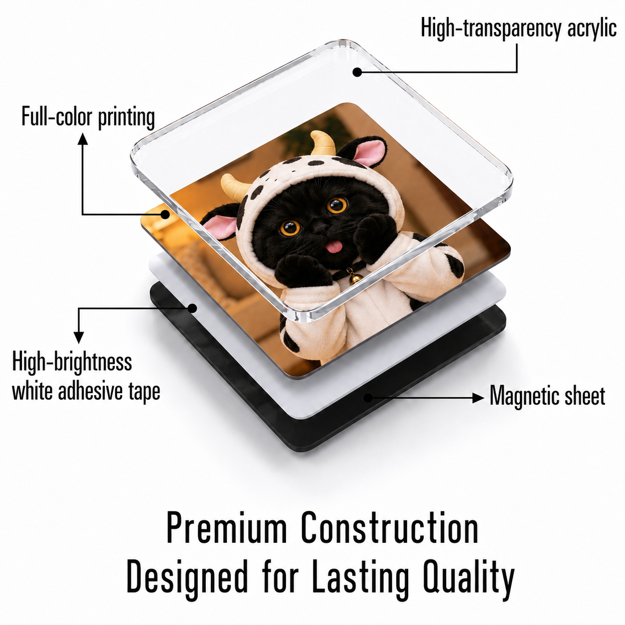 Porky & Friends Cute Cat Acrylic Magnets