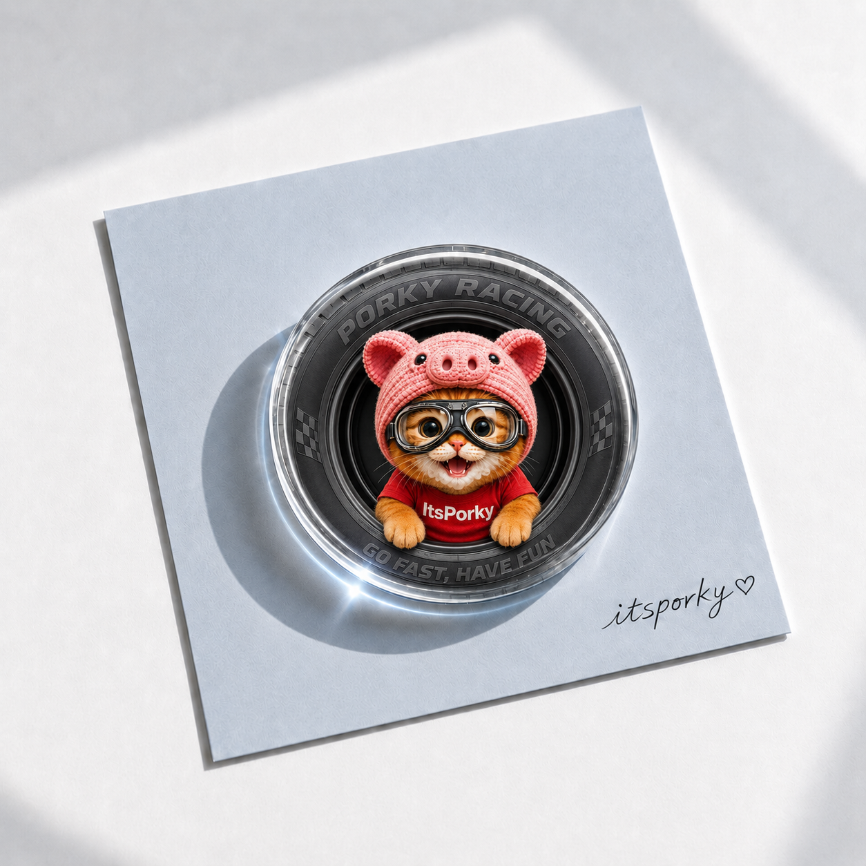 Porky Little Worlds Acrylic Fridge Magnets