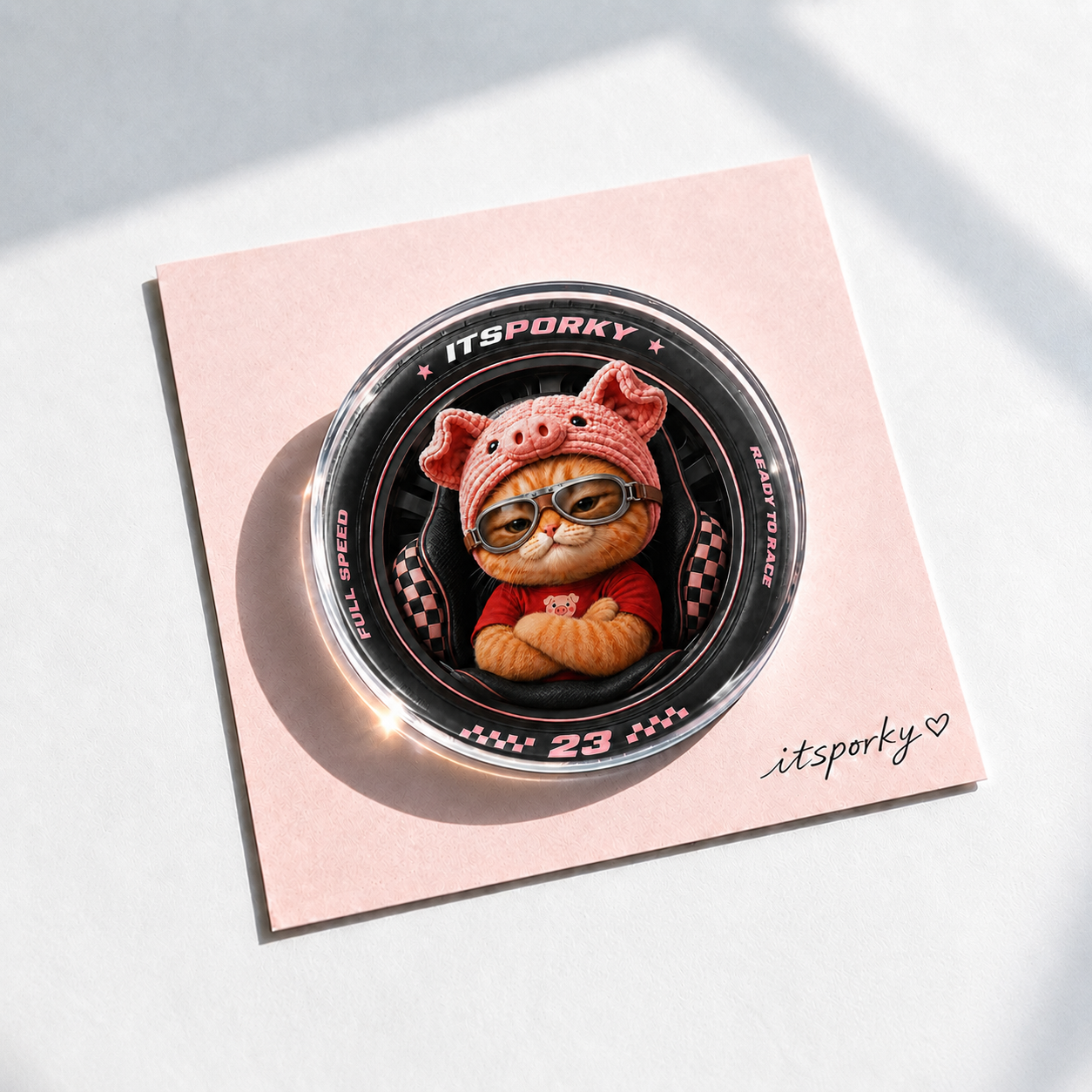 Porky Little Worlds Acrylic Fridge Magnets